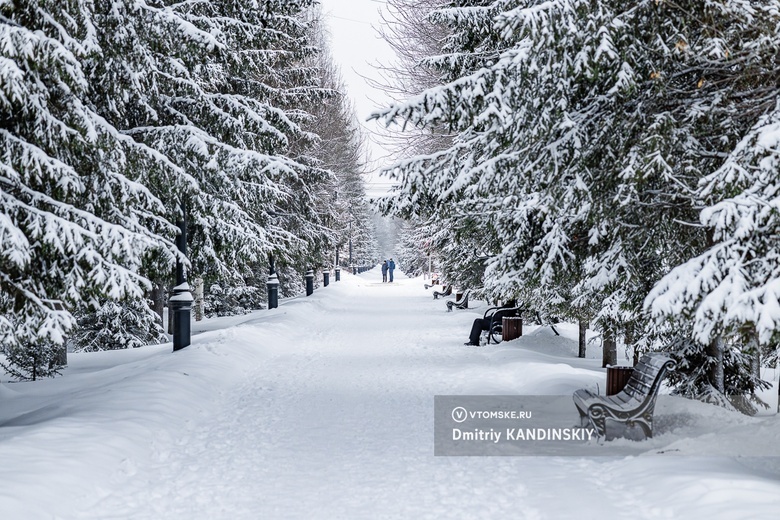 Прогноз погоды на выходные 27-28 января в Томске: температура, будет ли идти снег