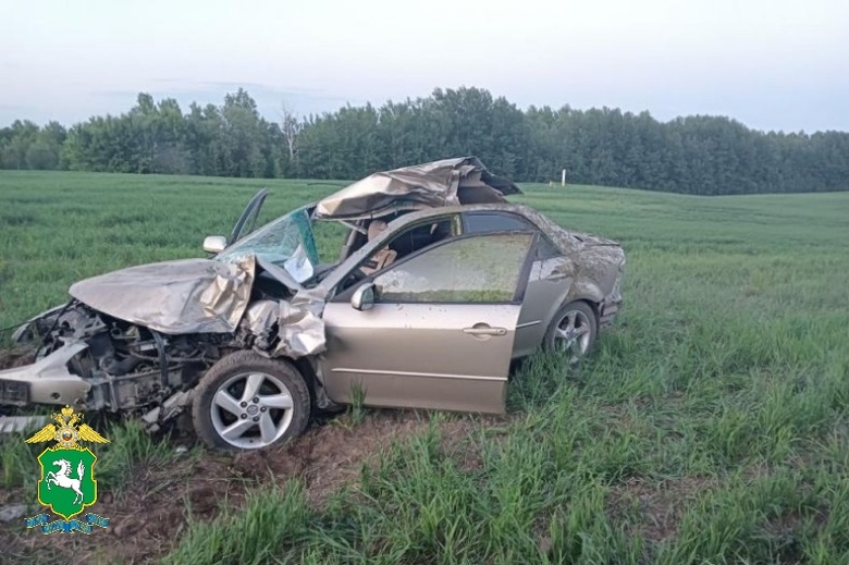 Водитель и подросток погибли в ДТП после наезда на лося в Томской области