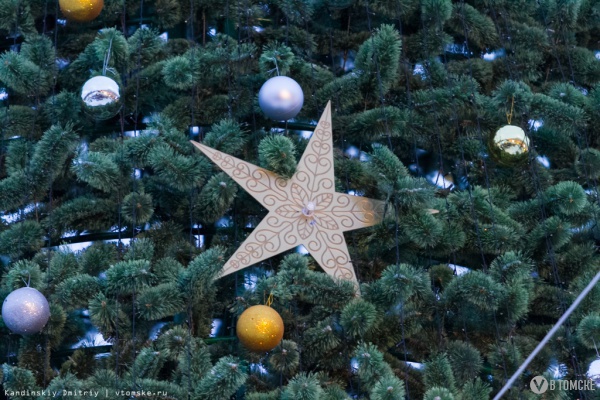 Томичи могут украсить елку для детей Новороссии