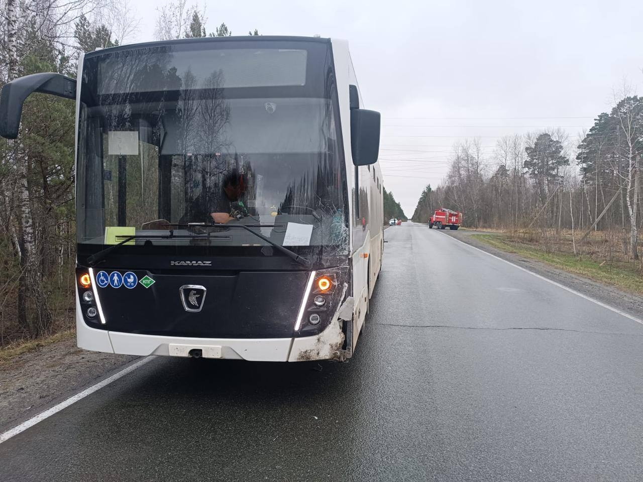 Легковушка и автобус столкнулись на трассе под Томском