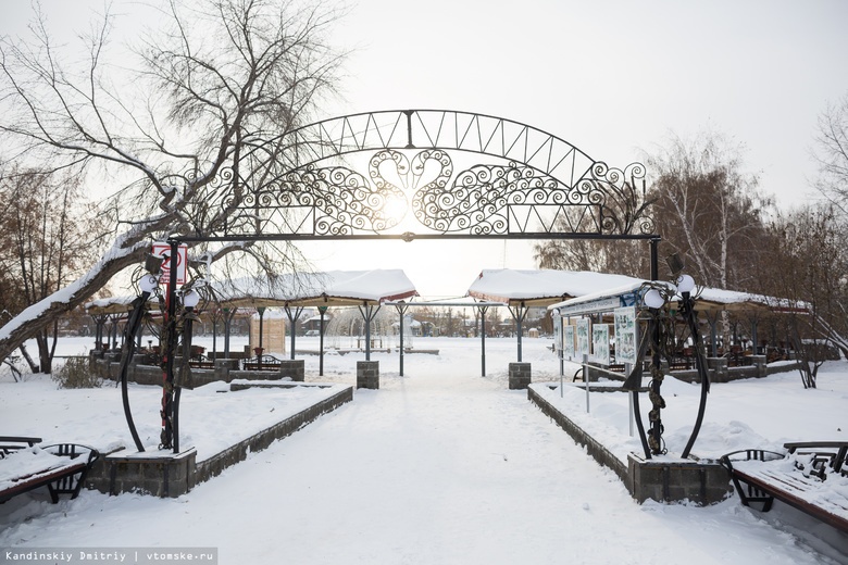 Восстановлены сгоревшие фигуры лебедей на Белом озере Томска