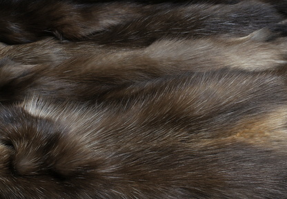 Полицейские задержали незаконных перевозчиков пушнины