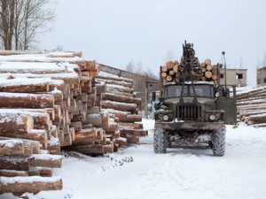 «Зеленую фабрику» обязали выплатить в бюджет Томского района более миллиона рублей