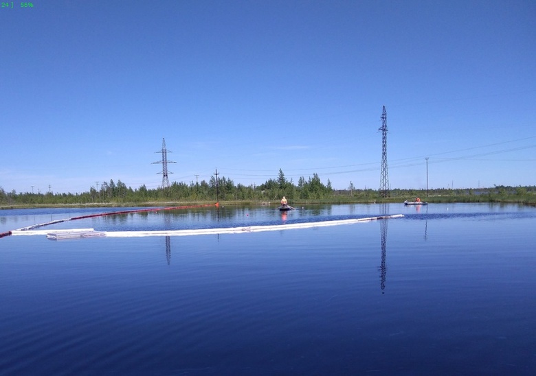 Биологи томского вуза занялись очисткой озера на Крайнем Севере от нефти
