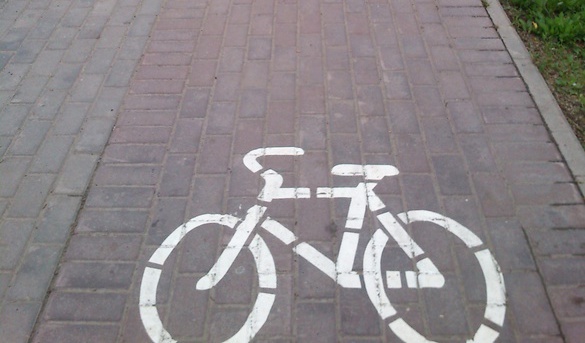 Эксперт: на велодорожке на Красноармейской просто обновили разметку