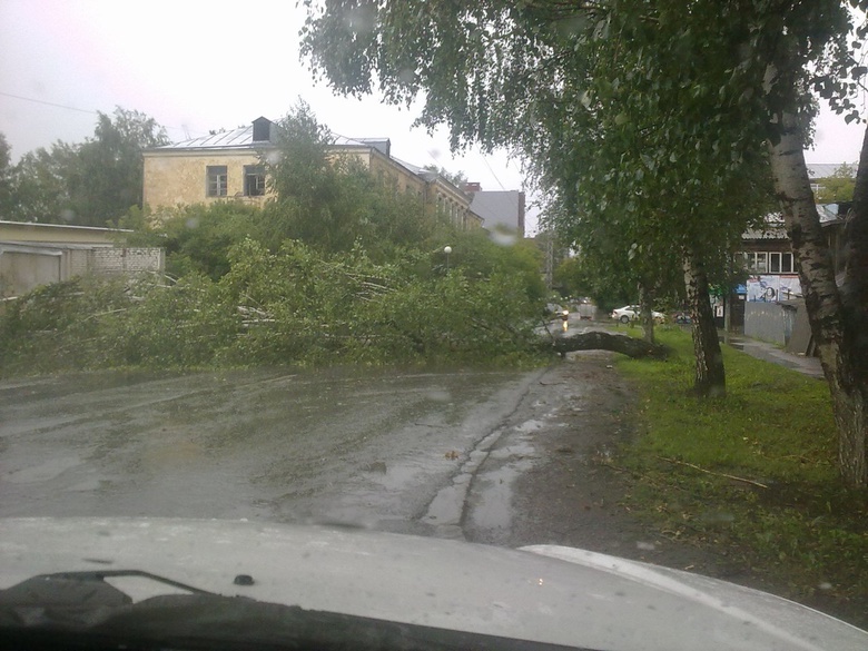 Горожане вновь жалуются на последствия грозы и ветра (фото)