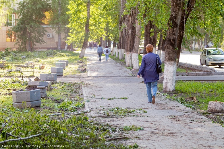 Яблони, рябины и клен вместо тополей: на Усова началось благоустройство пешеходной зоны