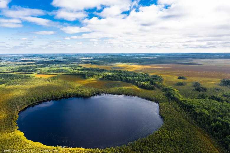 В краю кедровом: взгляд на Томскую область с высоты птичьего полета