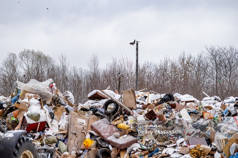 Для борьбы с завалами мусора в Томске нашли дополнительного подрядчика