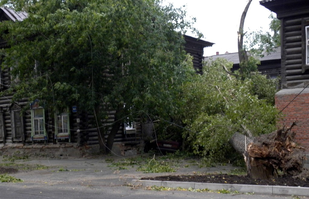 упавшее дерево на Гоголя