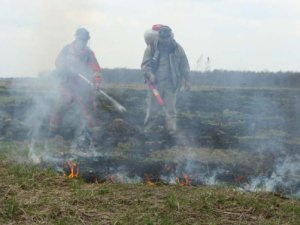 Торфяной пожар между Кафтанчиково и Тахтамышево потушили