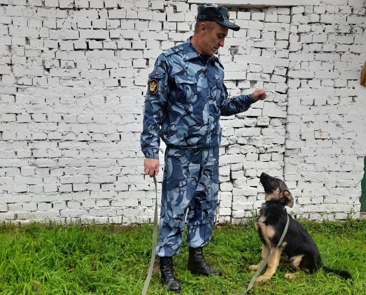 Хвостатые новобранцы: 7 щенков поступили на службу в томскую ФСИН |  15.09.2023 | Томск - БезФормата