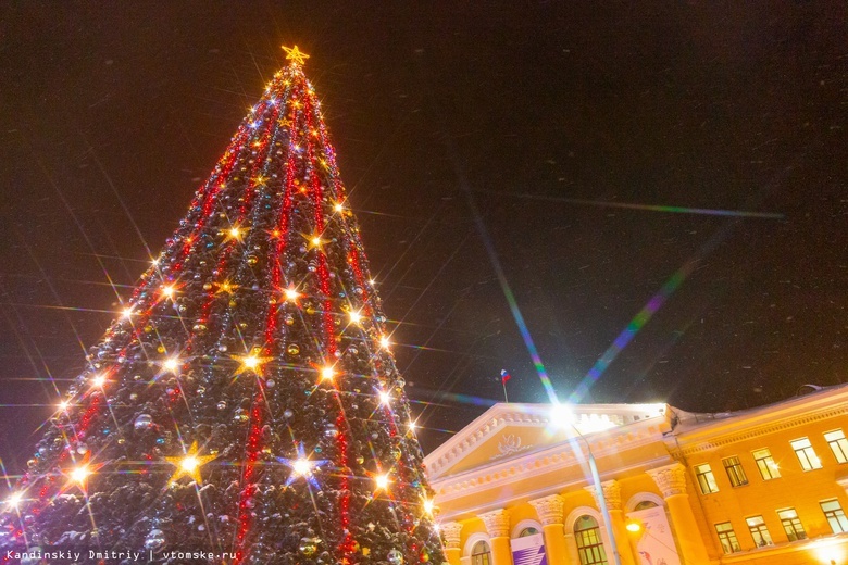 Монтаж главной новогодней ели начался в центре Томска