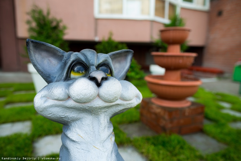 Цветные лавочки, скульптуры котов и фонтаны: как томичи обустраивают свои дворы
