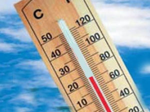 В ближайшие дни в области ожидается потепление