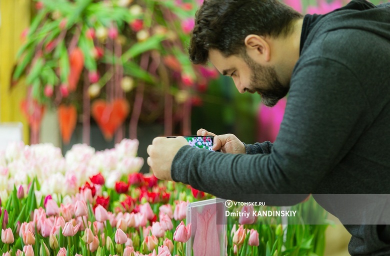 Целое море цветов: томичей приглашают на большую выставку тюльпанов