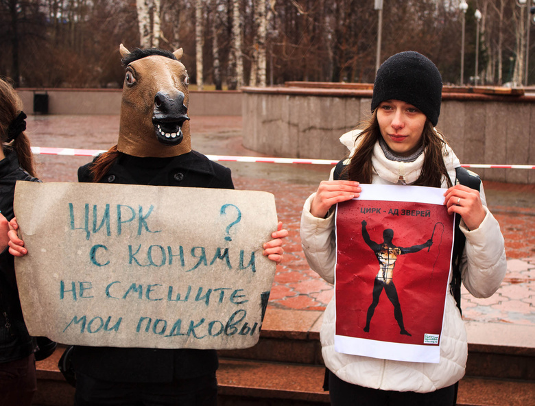 Погода не помешала провести «антицирковой» пикет (фото)