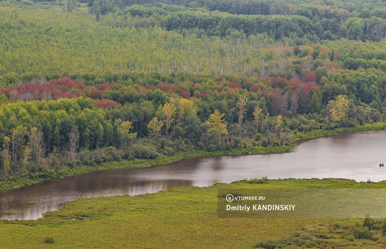 Скрытая от глаз красота: фотопутешествие по тайге и болотам Томской области