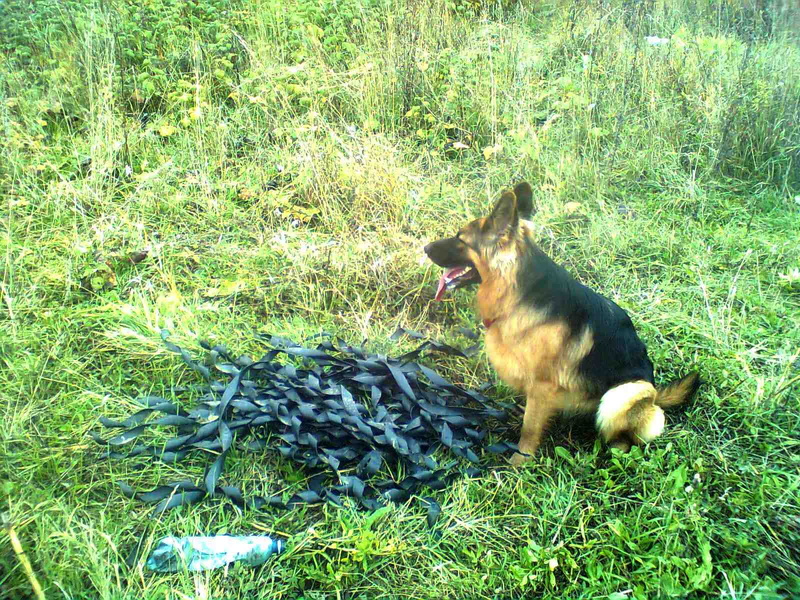 Народные новости: трубы поменяли — мусор не убрали