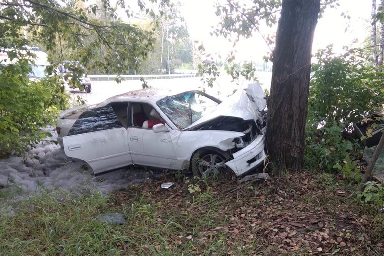 Toyota врезалась в дерево в Северске. Водитель и пассажир в больнице