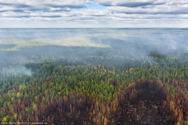 Площадь лесных пожаров в Томской области за сутки сократилась на 270 га