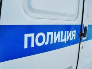 Пьяная девушка при задержании разбила ногами стекло патрульного автомобиля (фото)