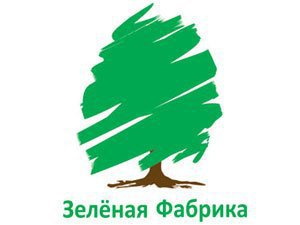 Следователи допросили депутата облдумы, подозреваемого в крупном мошенничестве