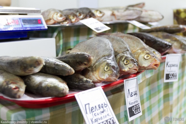 В 2015 году улов рыбы в томских водоемах вырос на 13 %