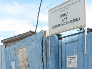 Приют в Новомихайловке судится с северской администрацией