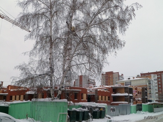Дом по переулку Спортивному, 7