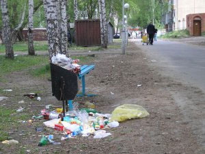 Аллея в Кулагинском массиве является бесхозным объектом