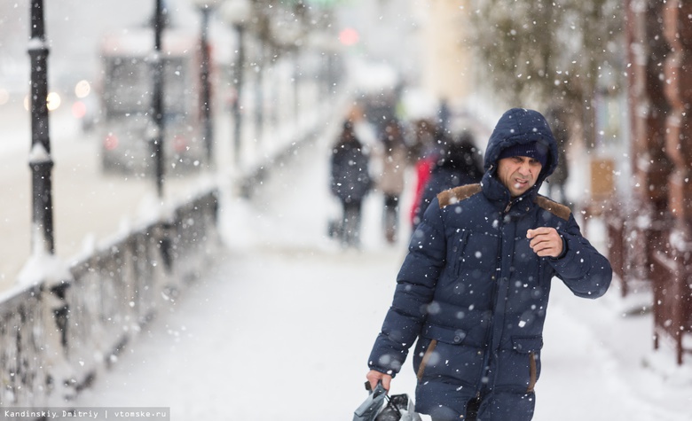 Синоптик: снегопады продолжатся в Томске в середине ноября