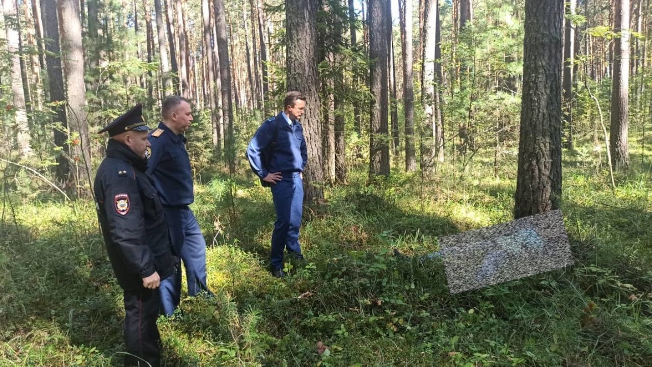 Труп нашли в лесу у томского села Тимирязевское | 23.08.2022 | Томск -  БезФормата