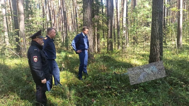 Труп нашли в лесу у томского села Тимирязевское