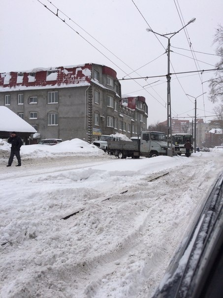 Фото: vk.com/tomsk123/Елена Петлина/Николай Ковшаров