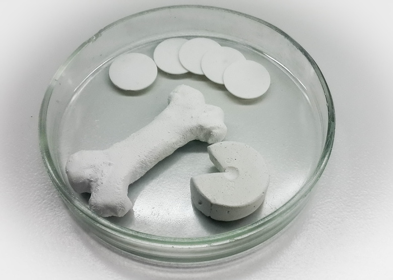 В ТГУ разрабатывают разлагаемые биоматериалы для замены костей