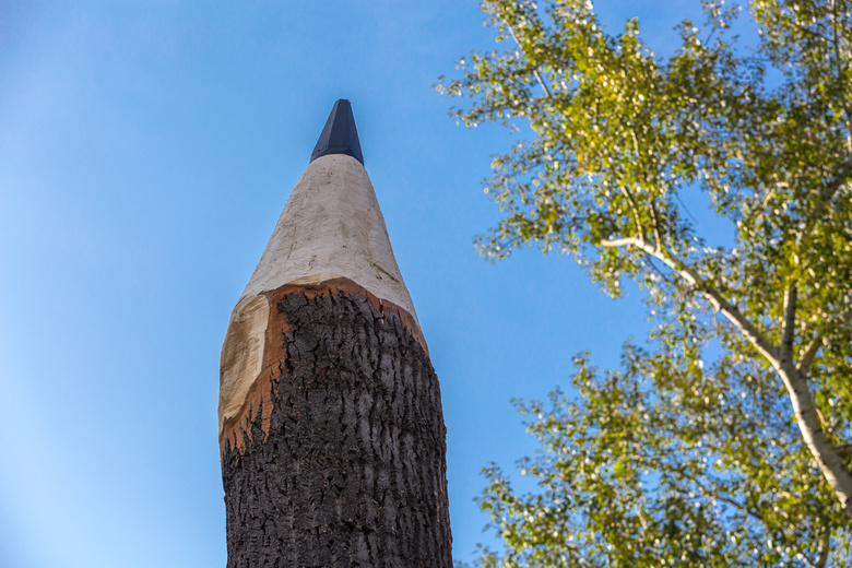 Дерево-карандаш появилось на Войкова в Томске