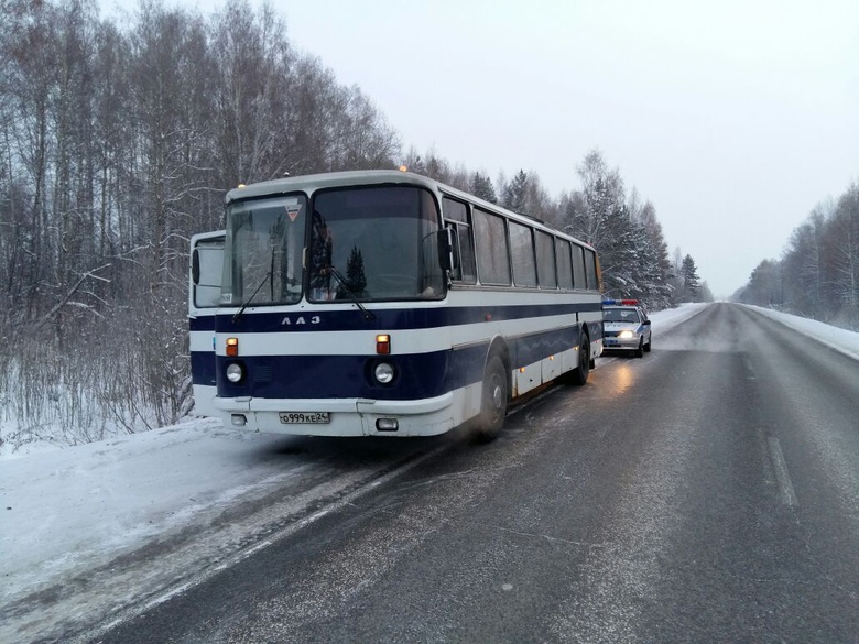 Инспекторы ДПС помогли пассажирам автобуса, замерзшего на томской трассе