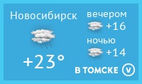 Погода в Новосибирске